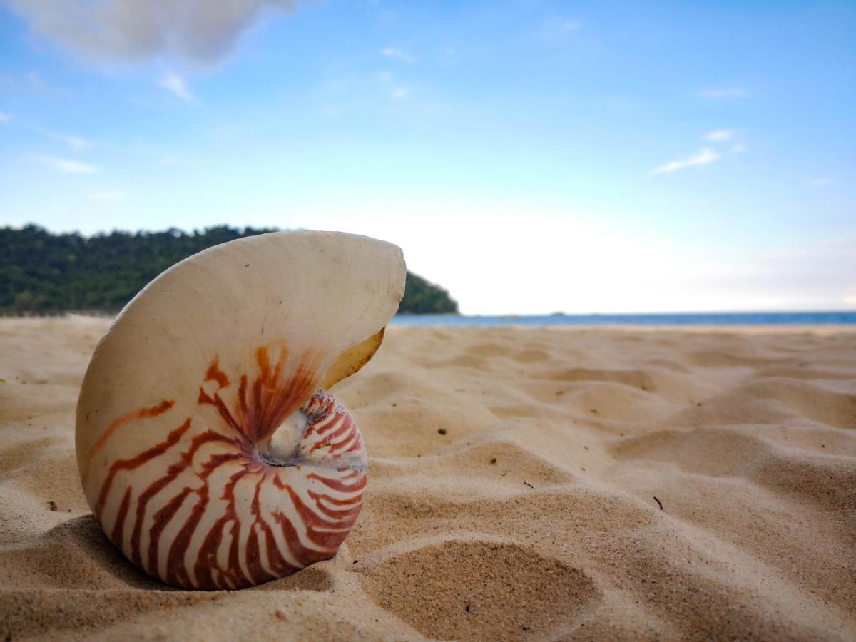 Отель Bushman Tioman Kampong Juara Экстерьер фото