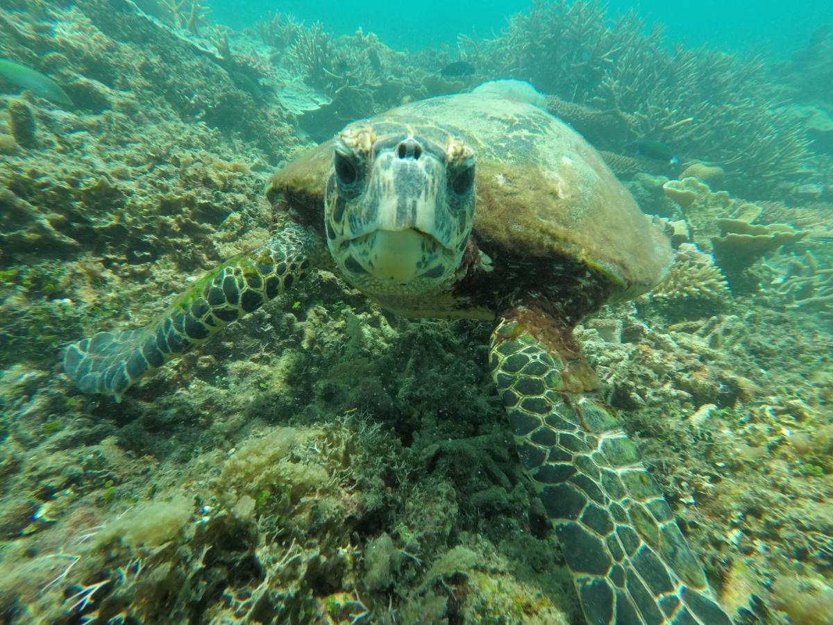 Отель Bushman Tioman Kampong Juara Экстерьер фото